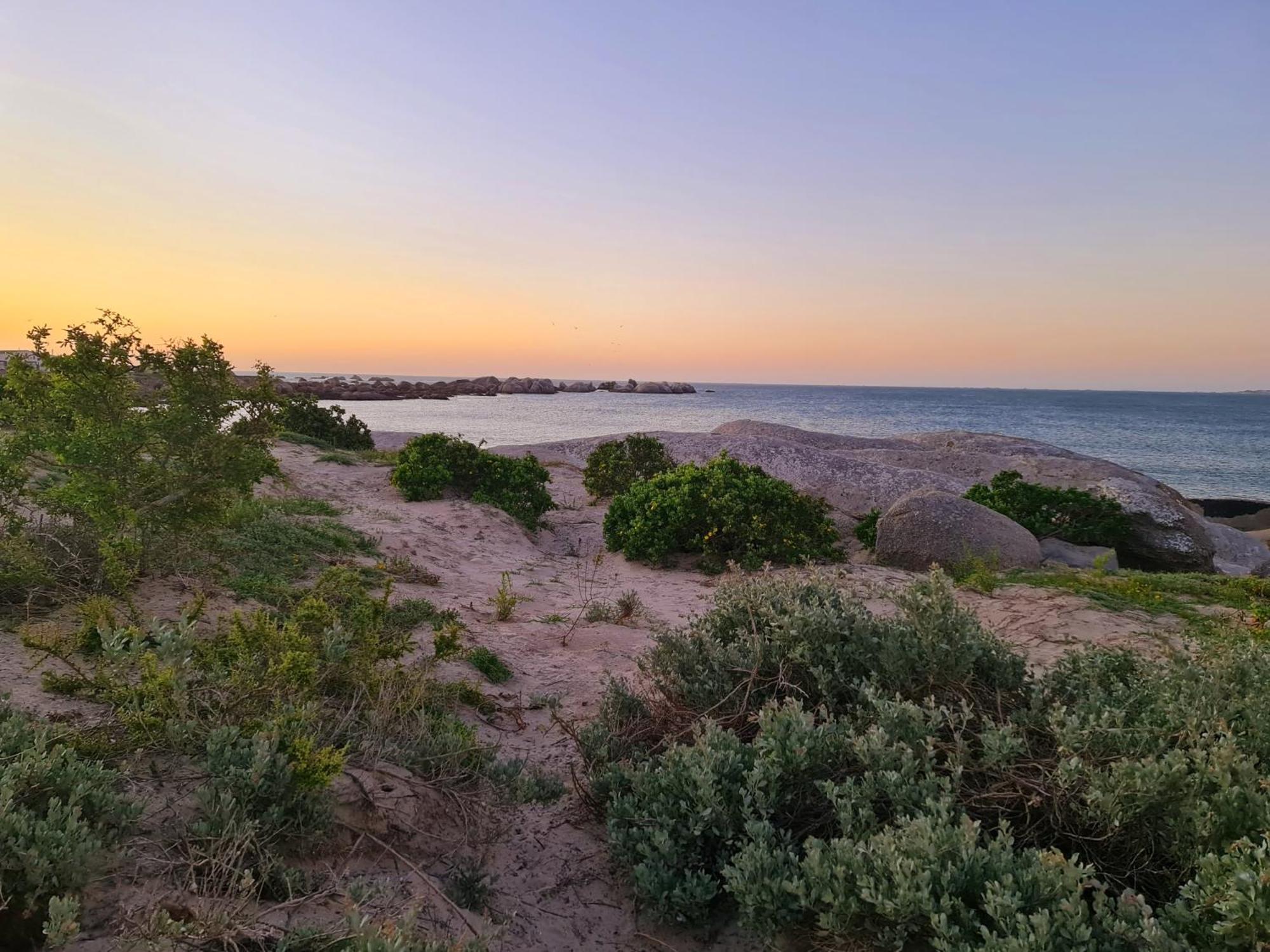 Flamink Beach View Cottage In باتيرنوستير المظهر الخارجي الصورة